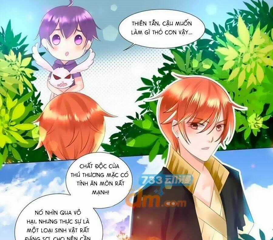 Chước Chước Lưu Ly Hạ - Chapter 63 - Trang 1