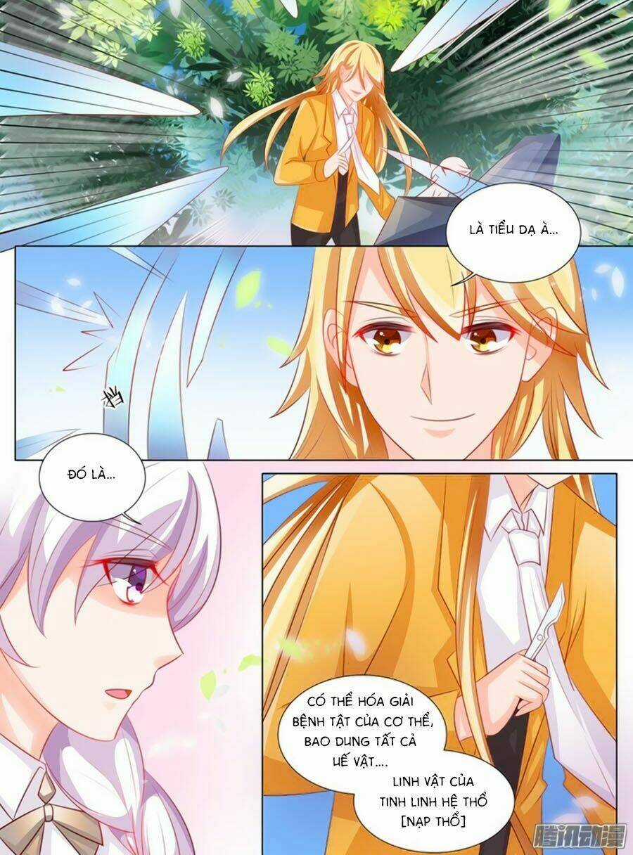 Chước Chước Lưu Ly Hạ - Chapter 92 - Trang 3