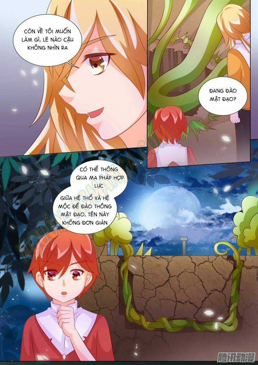 Chước Chước Lưu Ly Hạ - Chapter 94 - Trang 5