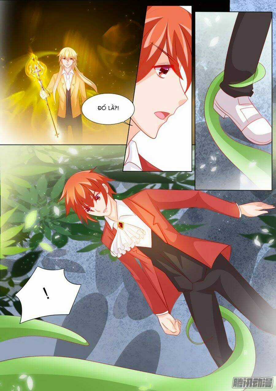 Chước Chước Lưu Ly Hạ - Chapter 96 - Trang 4