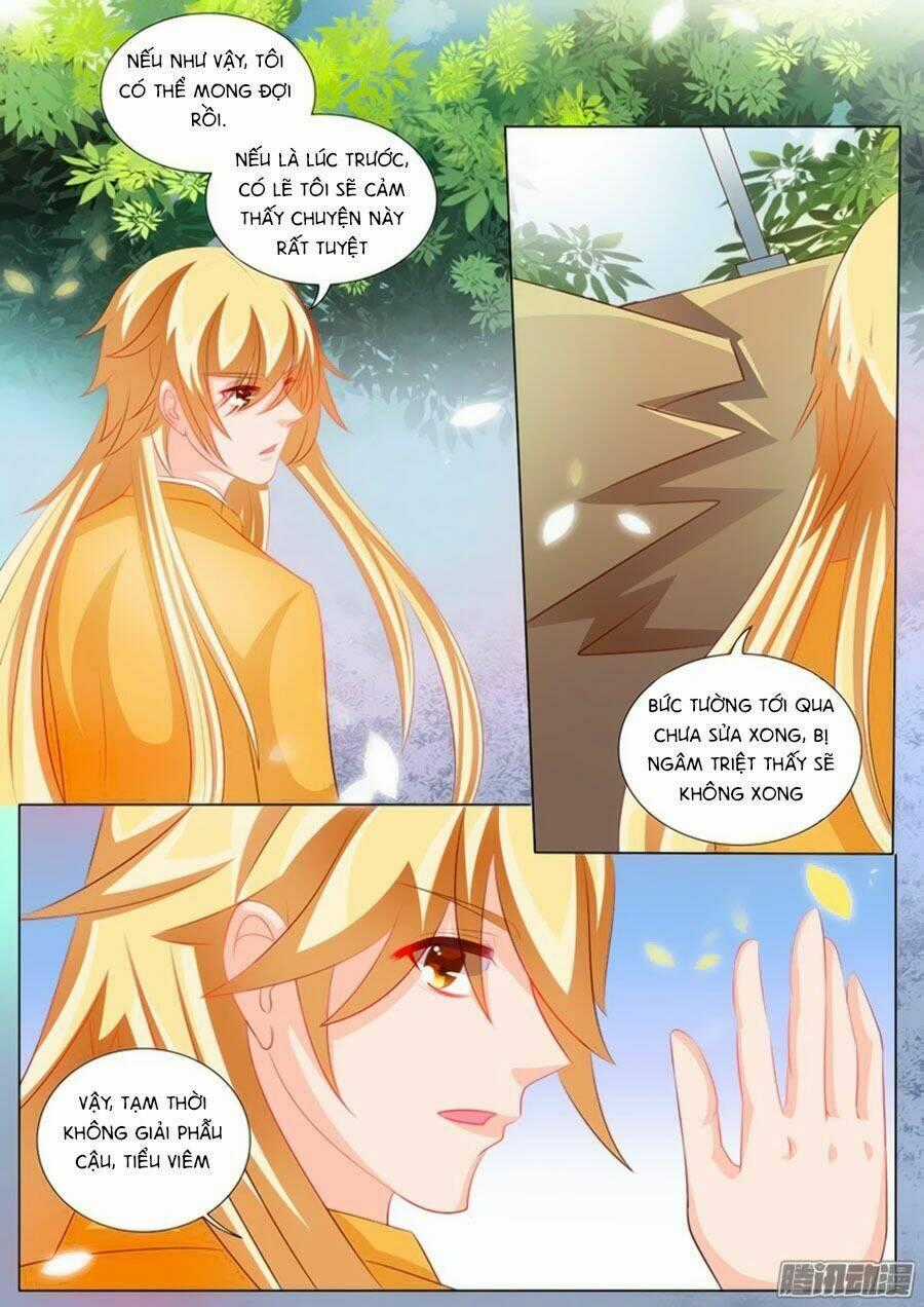 Chước Chước Lưu Ly Hạ - Chapter 96 - Trang 8