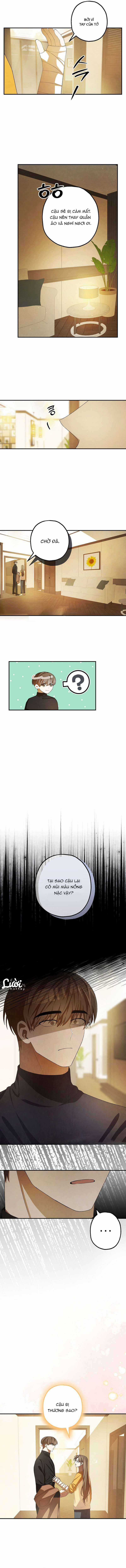 Chuỗi Thức Ăn - Chapter 12 - Trang 7