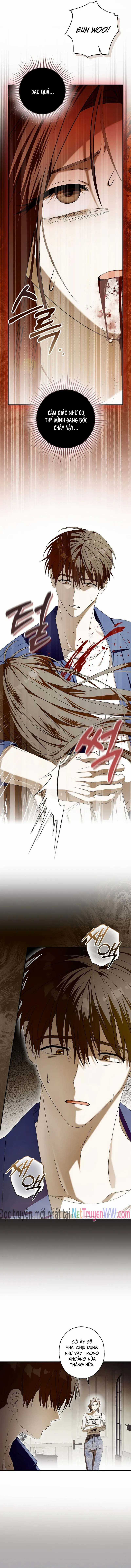 Chuỗi Thức Ăn - Chapter 50 - Trang 16