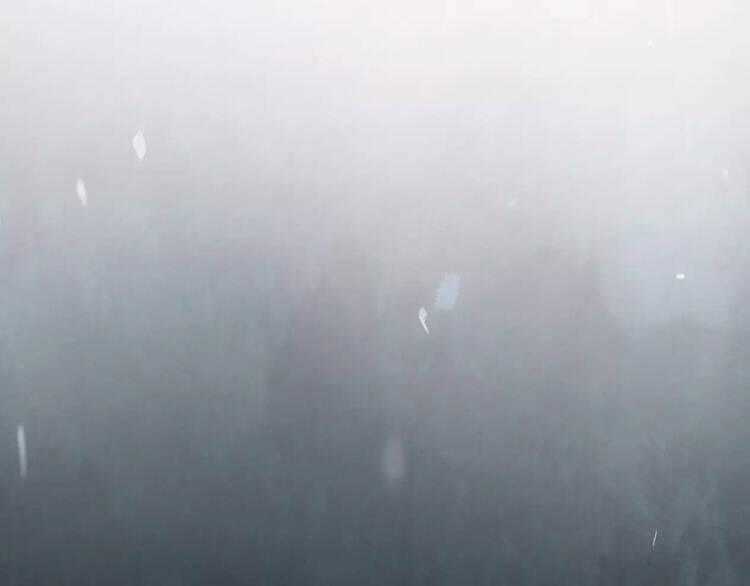 Chuông Và Lá - Chapter 0 - Trang 49