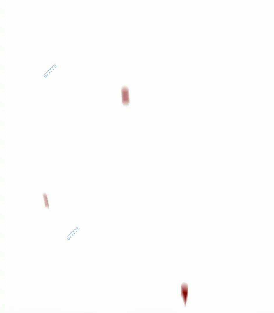 Chuyển Hóa - Chapter 38 - Trang 95