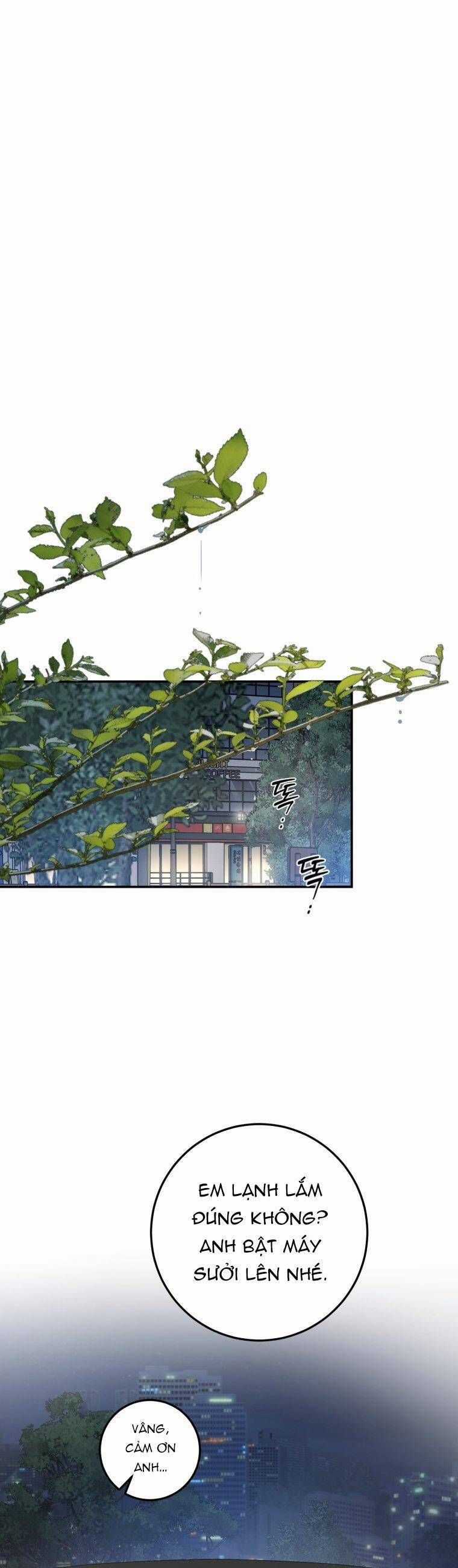 Chuyện Kết Hôn - Chapter 24 - Trang 11