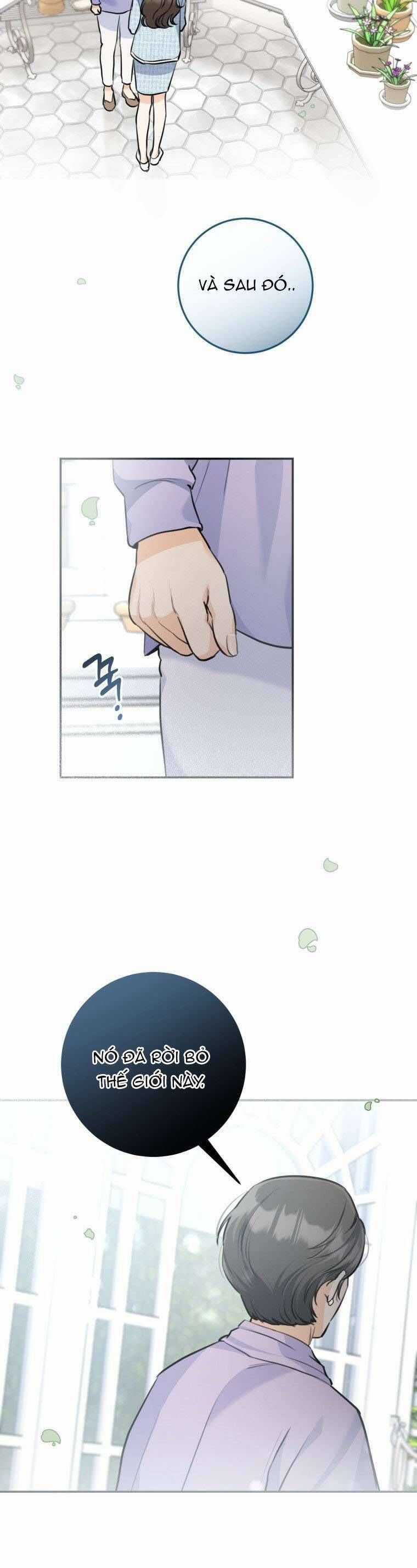 Chuyện Kết Hôn - Chapter 31 - Trang 28