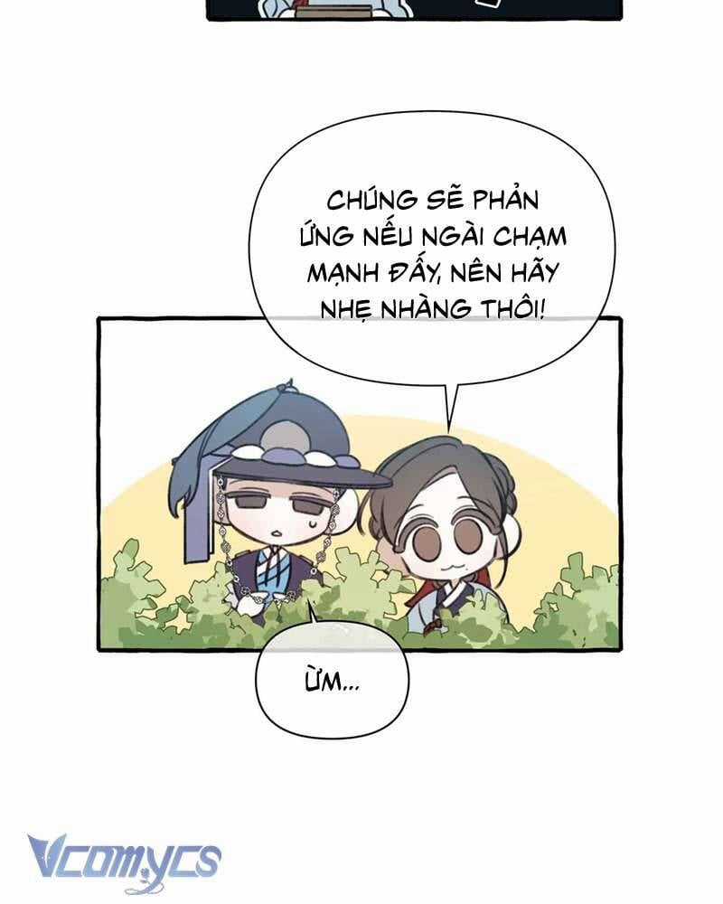 Chuyện Tình Hoa Lưu Ly - Chapter 3 - Trang 50