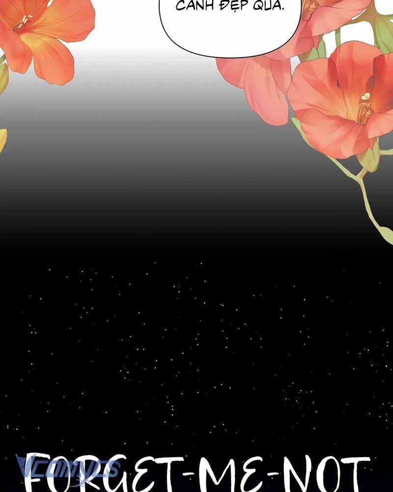 Chuyện Tình Hoa Lưu Ly - Chapter 5 - Trang 5