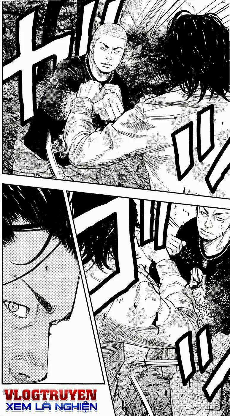 Clover - Chapter 202 - Trang 5