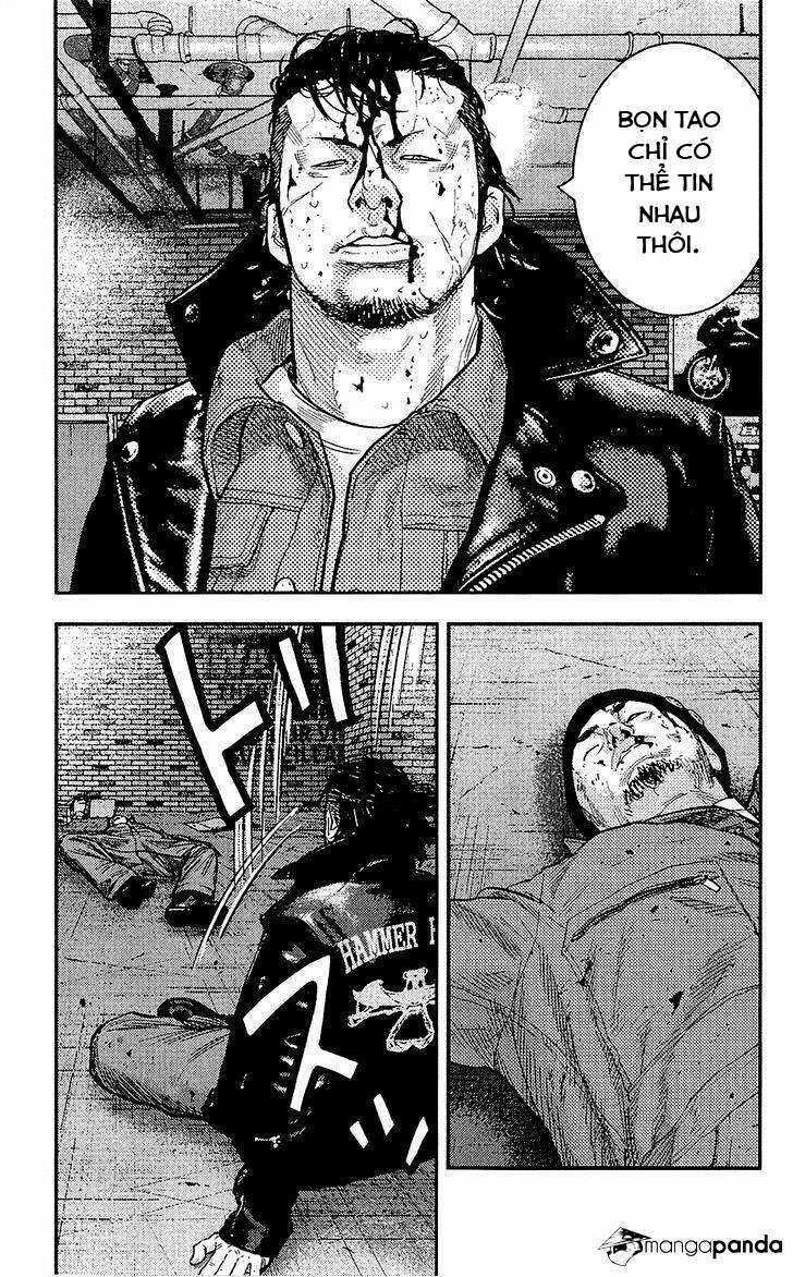 Clover - Chapter 232 - Trang 5