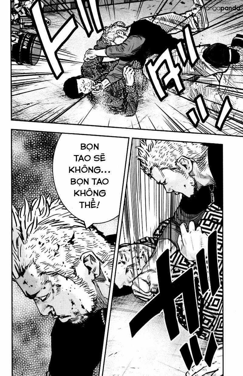 Clover - Chapter 233 - Trang 14