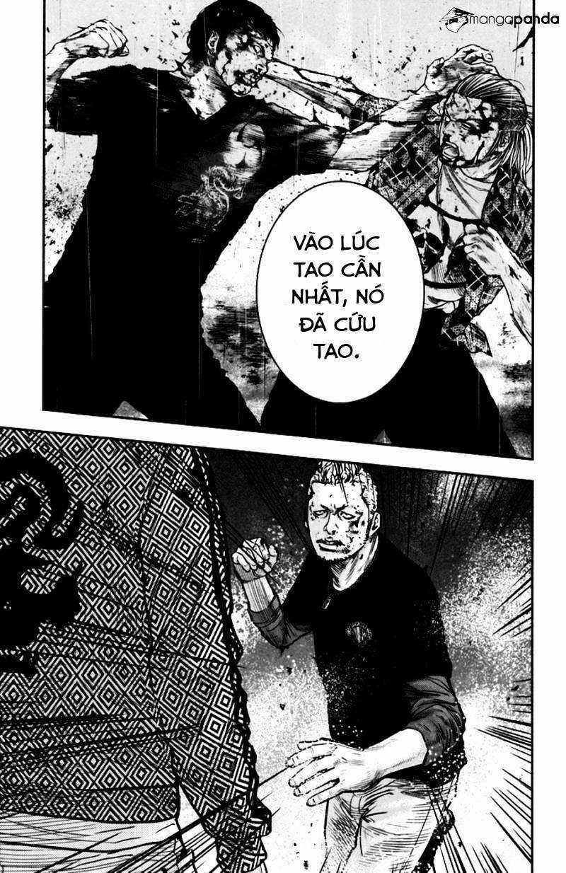 Clover - Chapter 233 - Trang 19