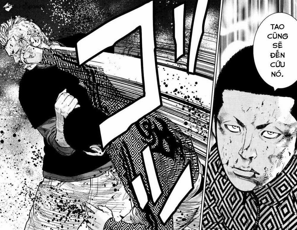 Clover - Chapter 233 - Trang 24