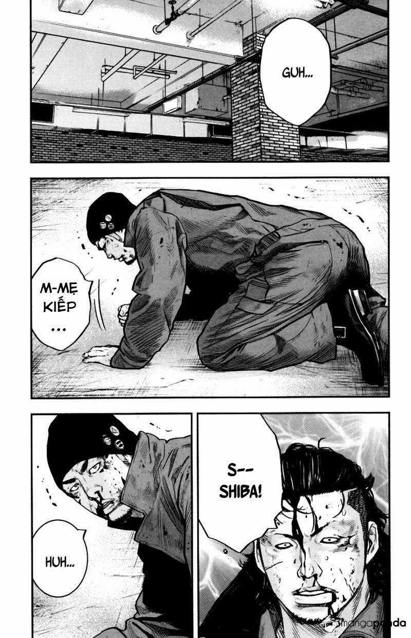 Clover - Chapter 233 - Trang 9