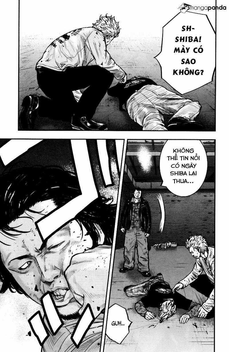 Clover - Chapter 234 - Trang 14