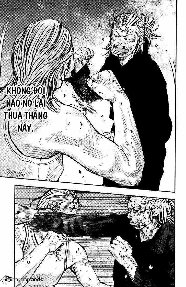 Clover - Chapter 237 - Trang 8