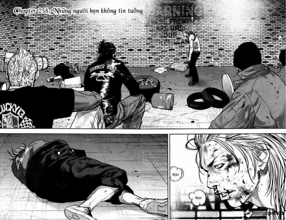 Clover - Chapter 238 - Trang 2