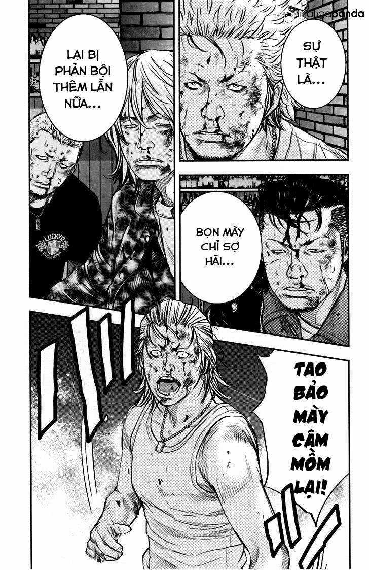 Clover - Chapter 238 - Trang 14