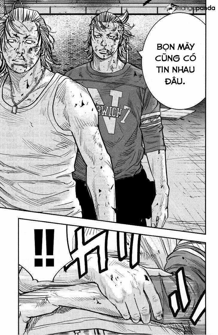 Clover - Chapter 238 - Trang 16