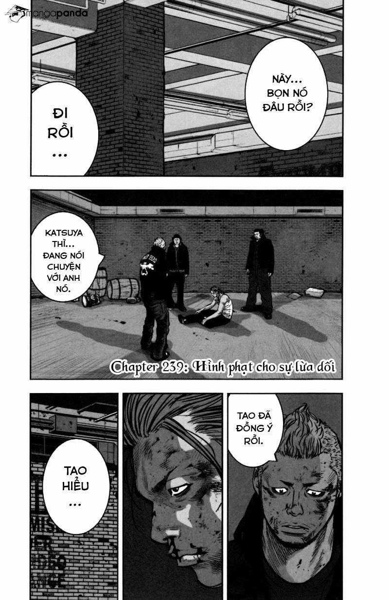 Clover - Chapter 239 - Trang 1