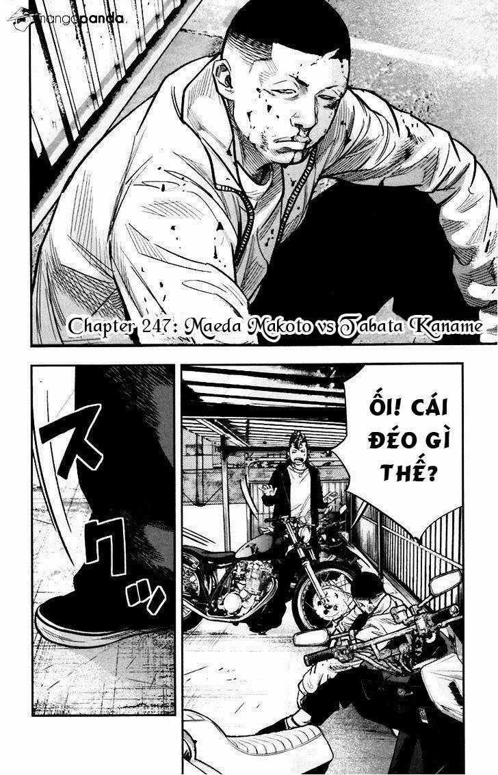 Clover - Chapter 247 - Trang 2