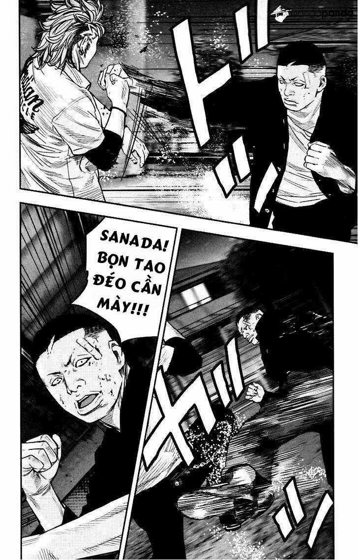 Clover - Chapter 251 - Trang 11