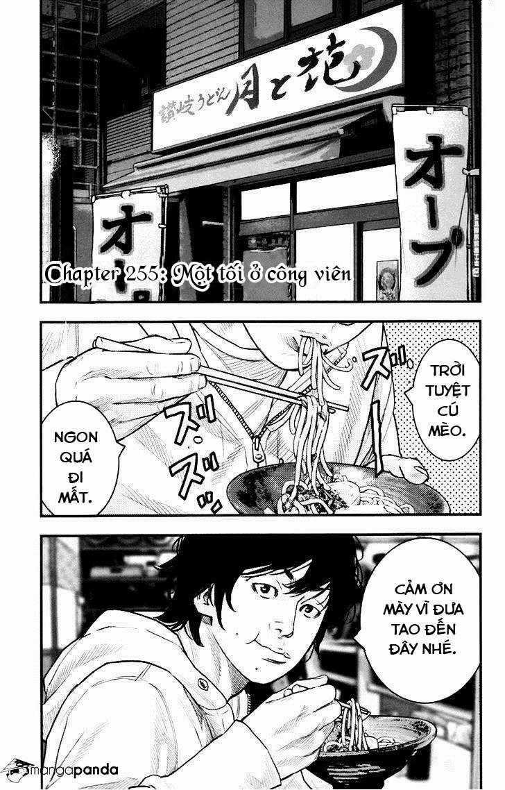 Clover - Chapter 255 - Trang 1