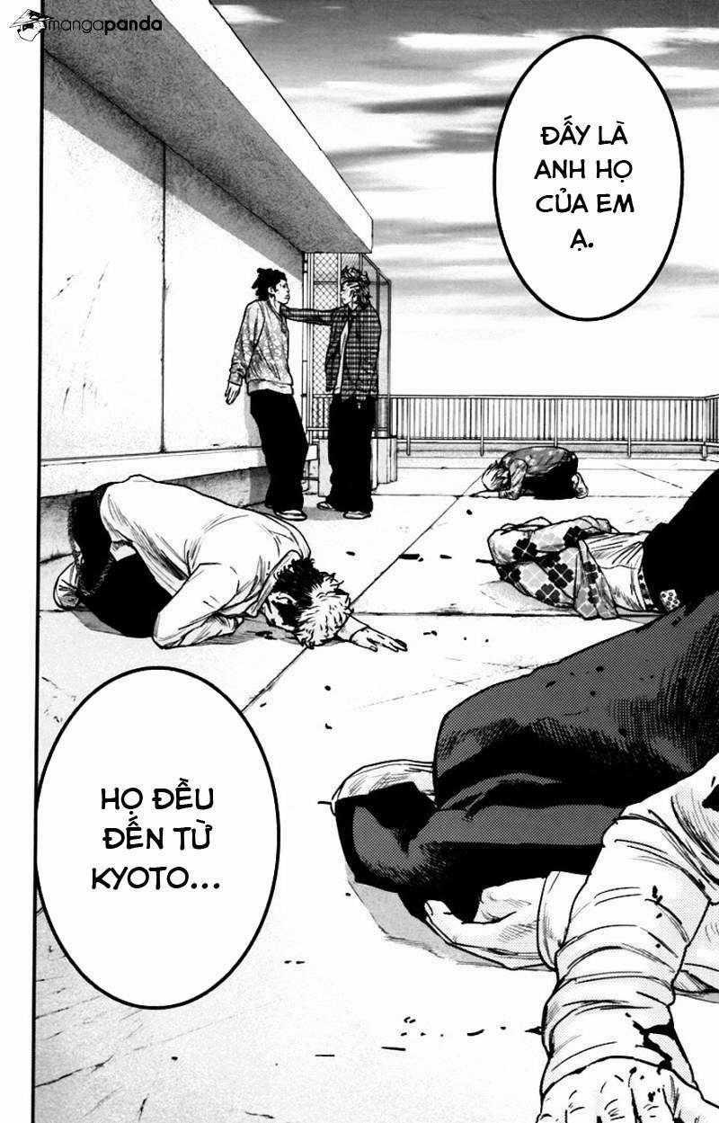 Clover - Chapter 259 - Trang 2