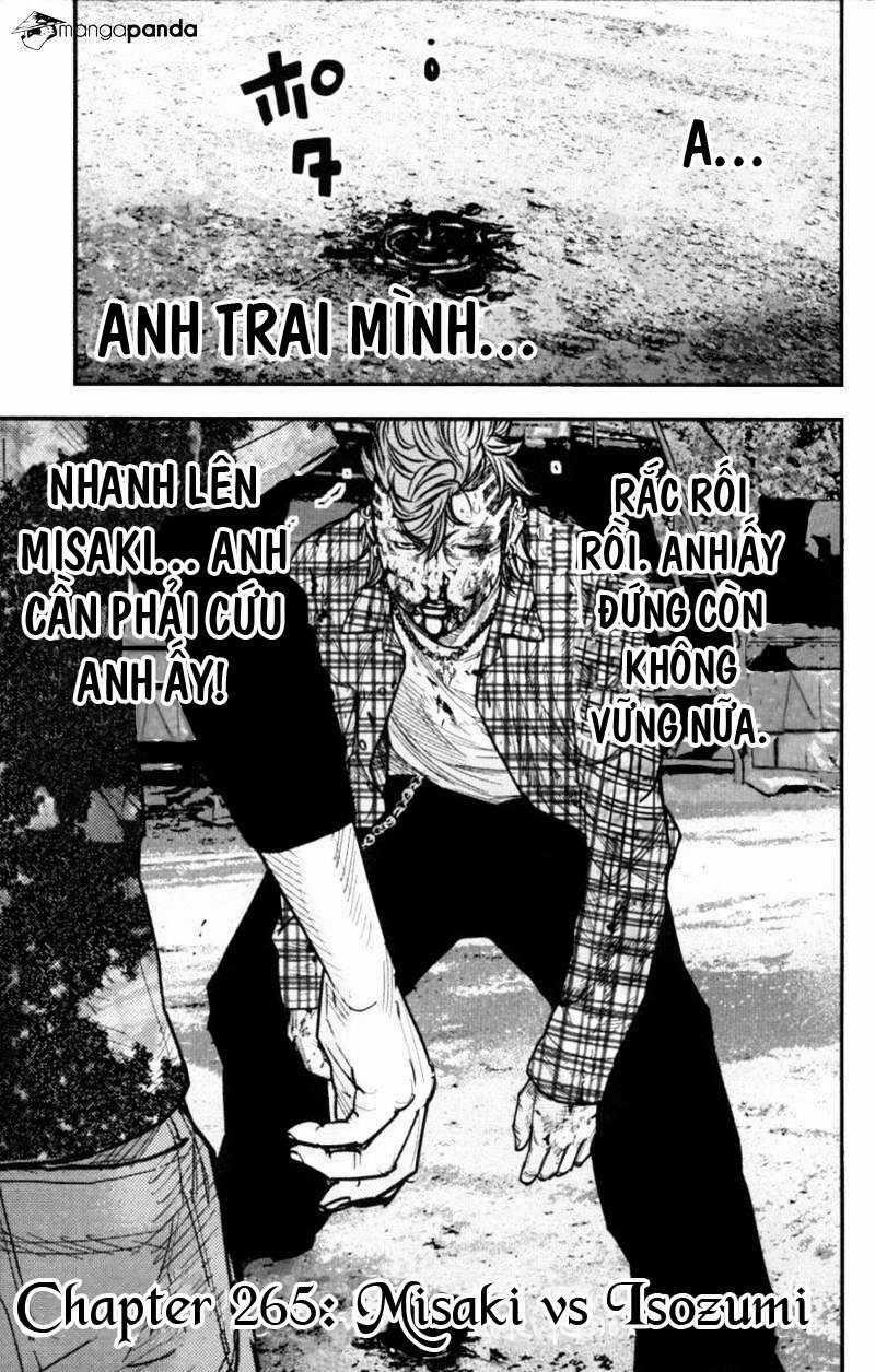 Clover - Chapter 265 - Trang 1