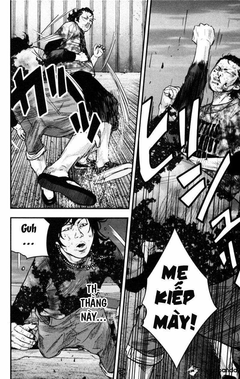 Clover - Chapter 265 - Trang 12