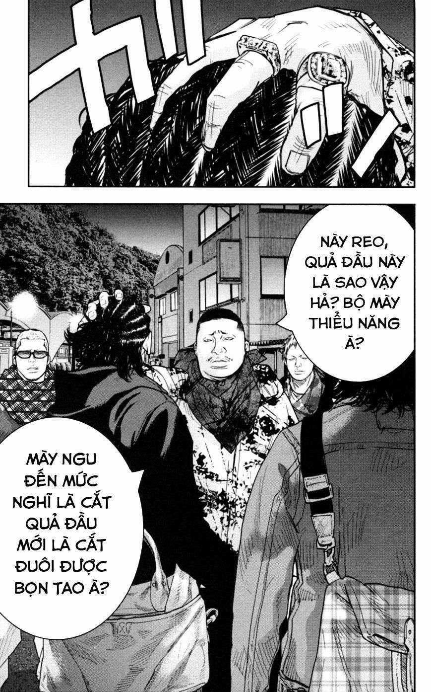 Clover - Chapter 272 - Trang 10