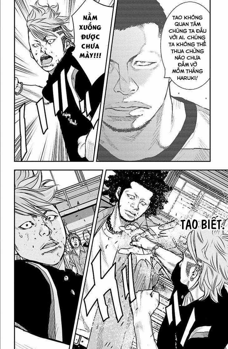 Clover - Chapter 317 - Trang 14