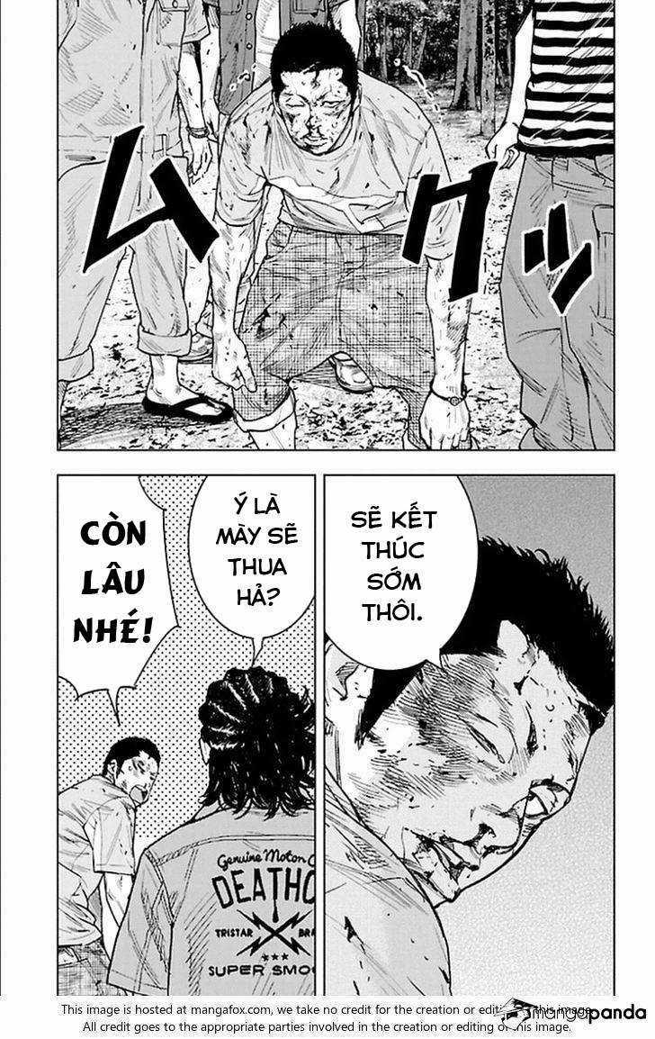 Clover - Chapter 338 - Trang 13