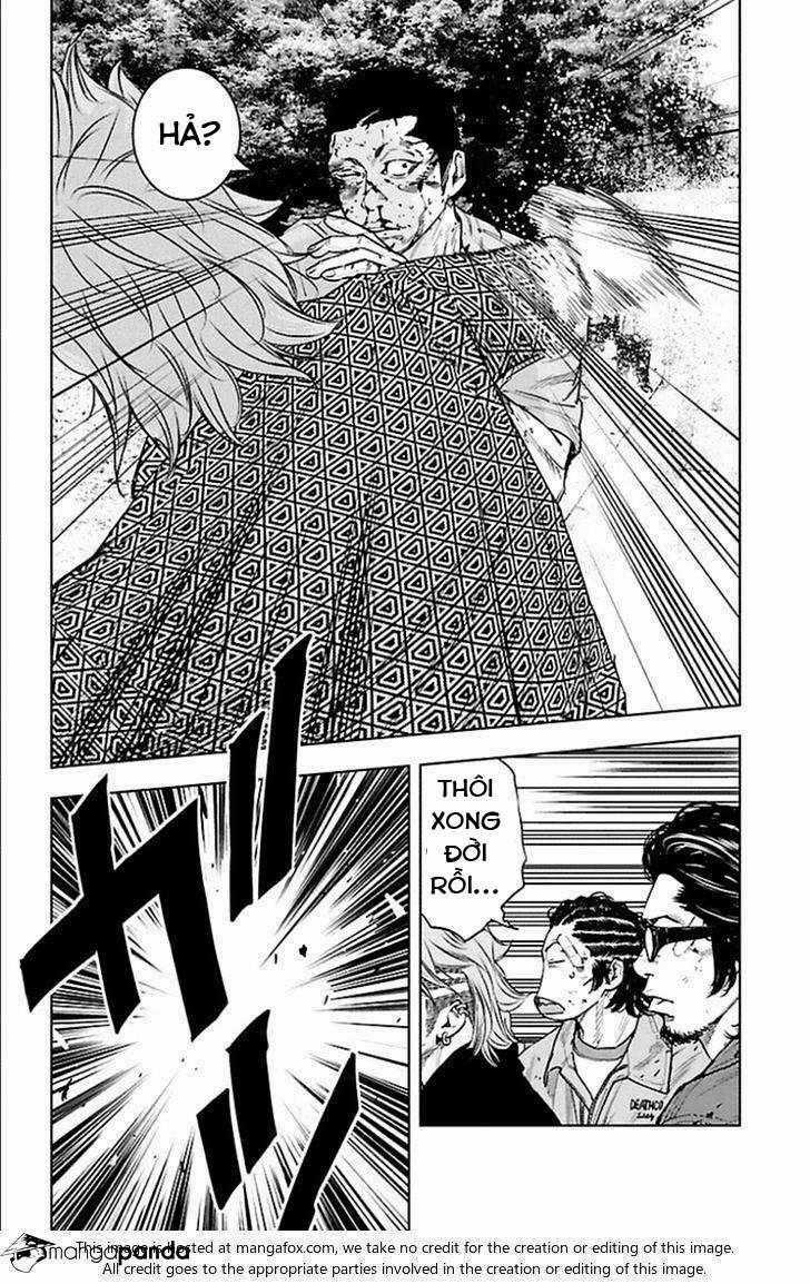 Clover - Chapter 339 - Trang 2