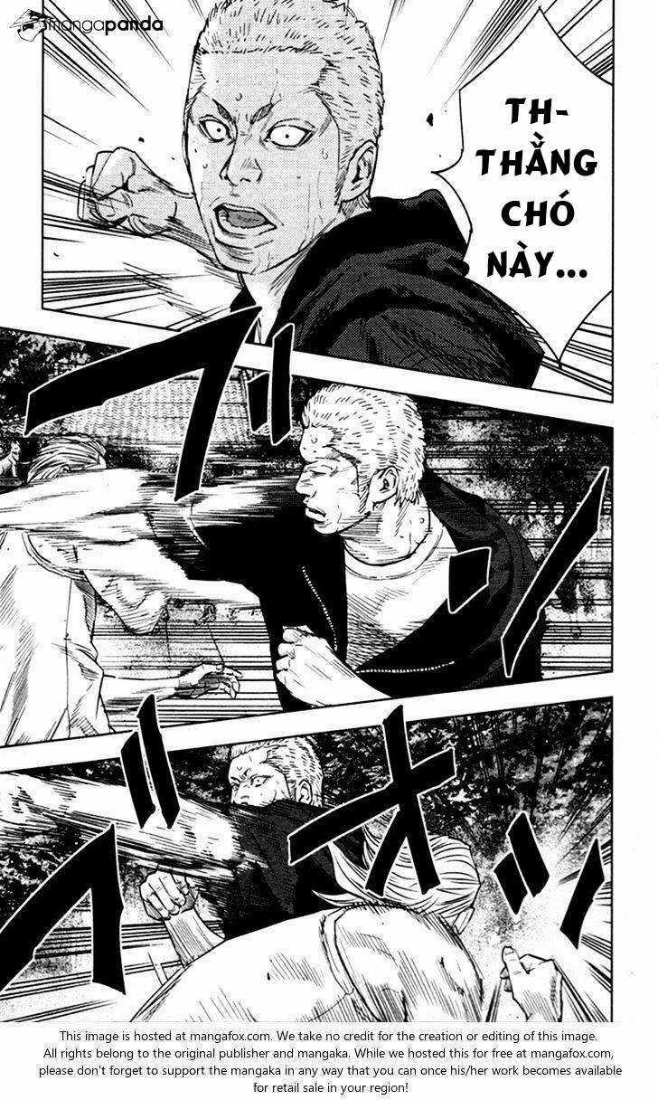 Clover - Chapter 340 - Trang 13