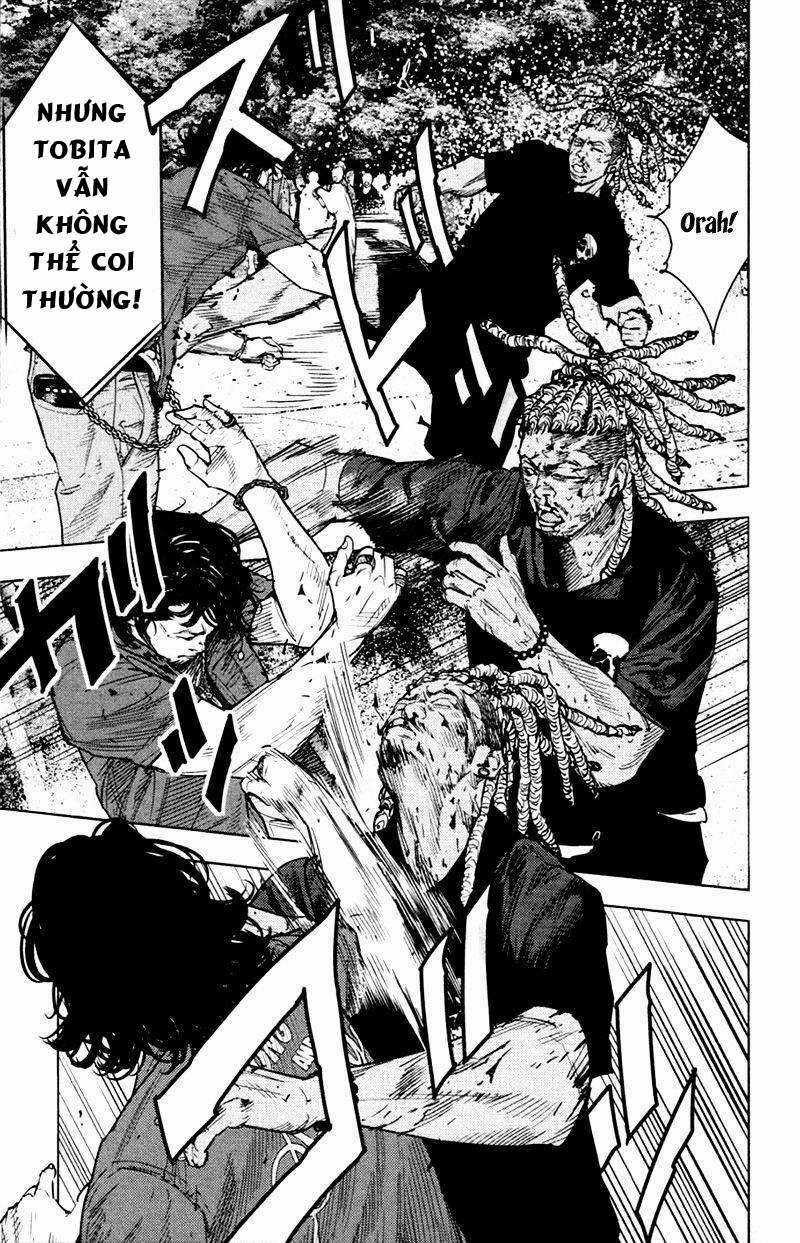 Clover - Chapter 351 - Trang 4