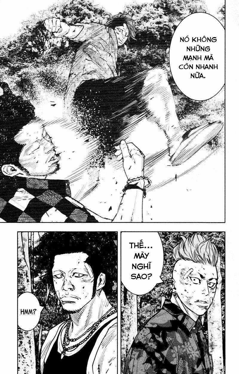 Clover - Chapter 352 - Trang 14