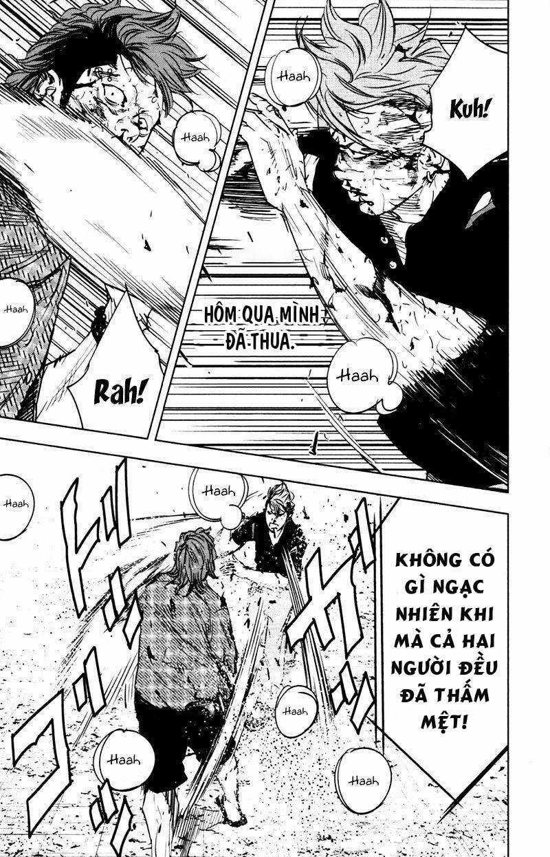 Clover - Chapter 355 - Trang 12