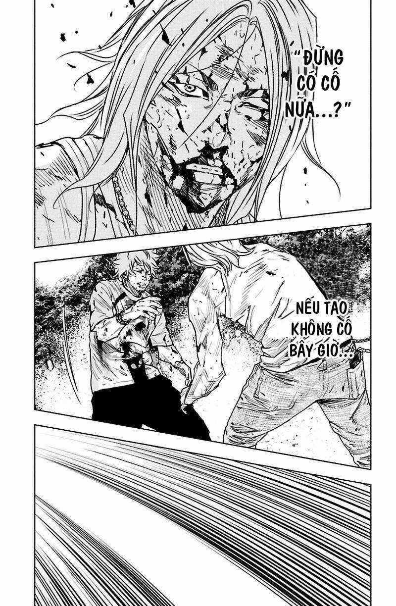 Clover - Chapter 363 - Trang 14