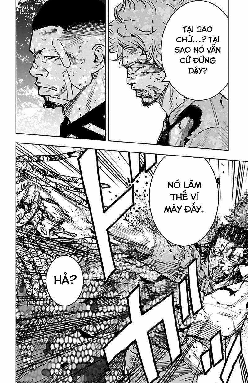 Clover - Chapter 375 - Trang 13