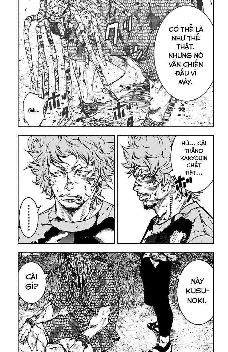 Clover - Chapter 377 - Trang 10