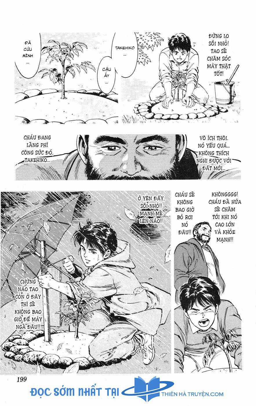 Cô Bé Mặt Trời - Chapter 17 - Trang 15