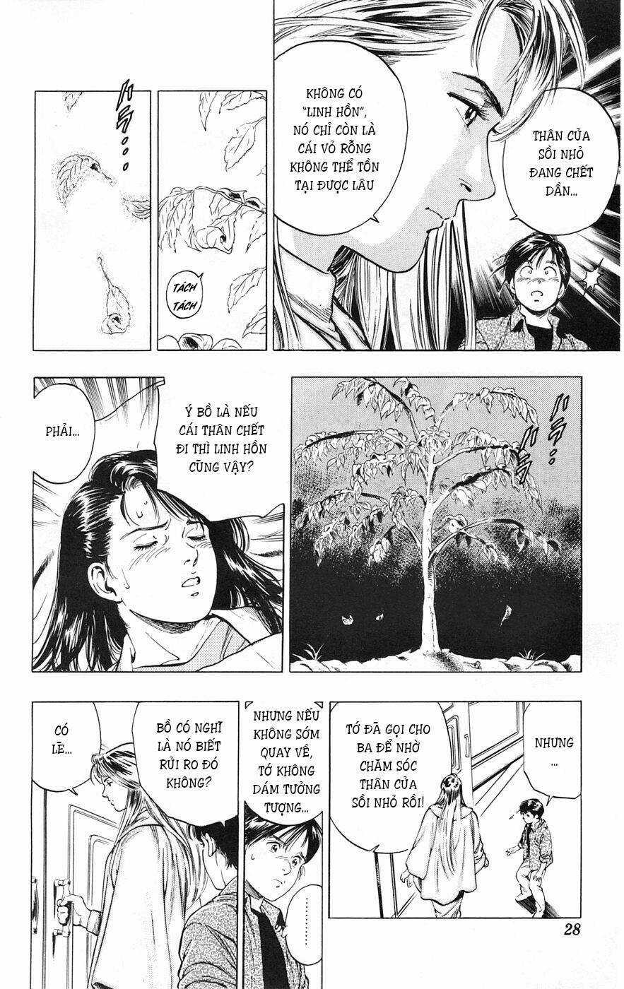 Cô Bé Mặt Trời - Chapter 19 - Trang 3