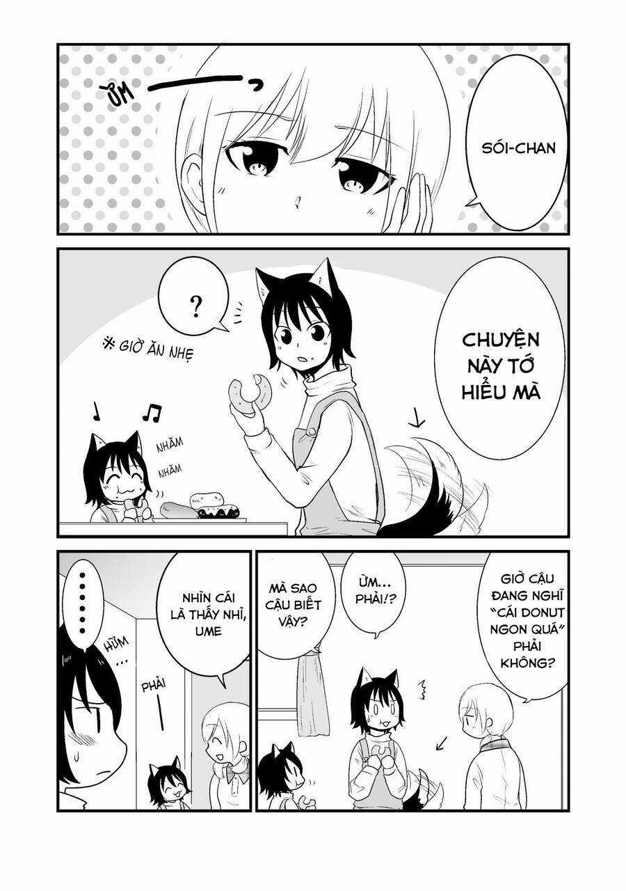 Cô bé quàng khăn đỏ thịt Sói - Chapter 10 - Trang 3