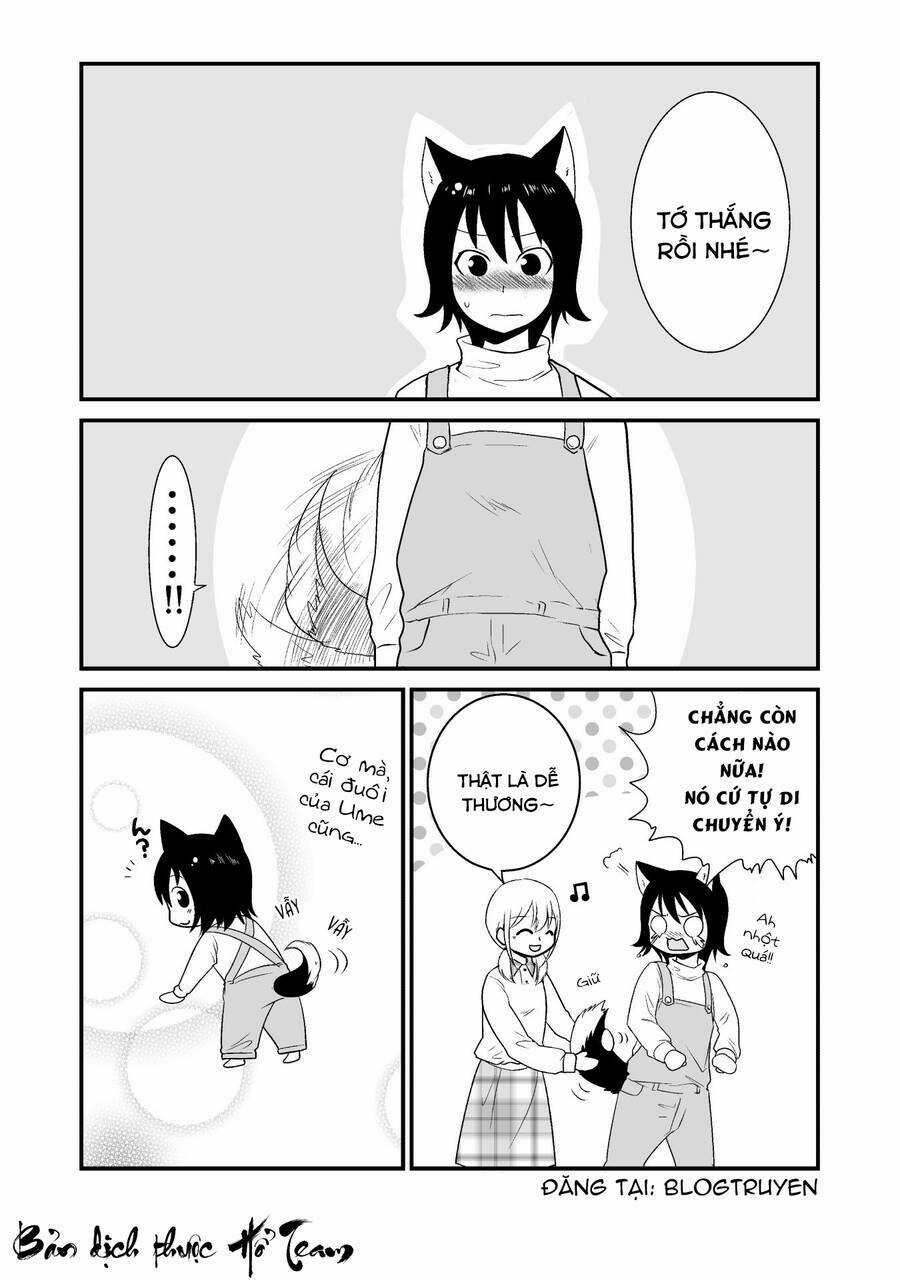 Cô bé quàng khăn đỏ thịt Sói - Chapter 10 - Trang 8