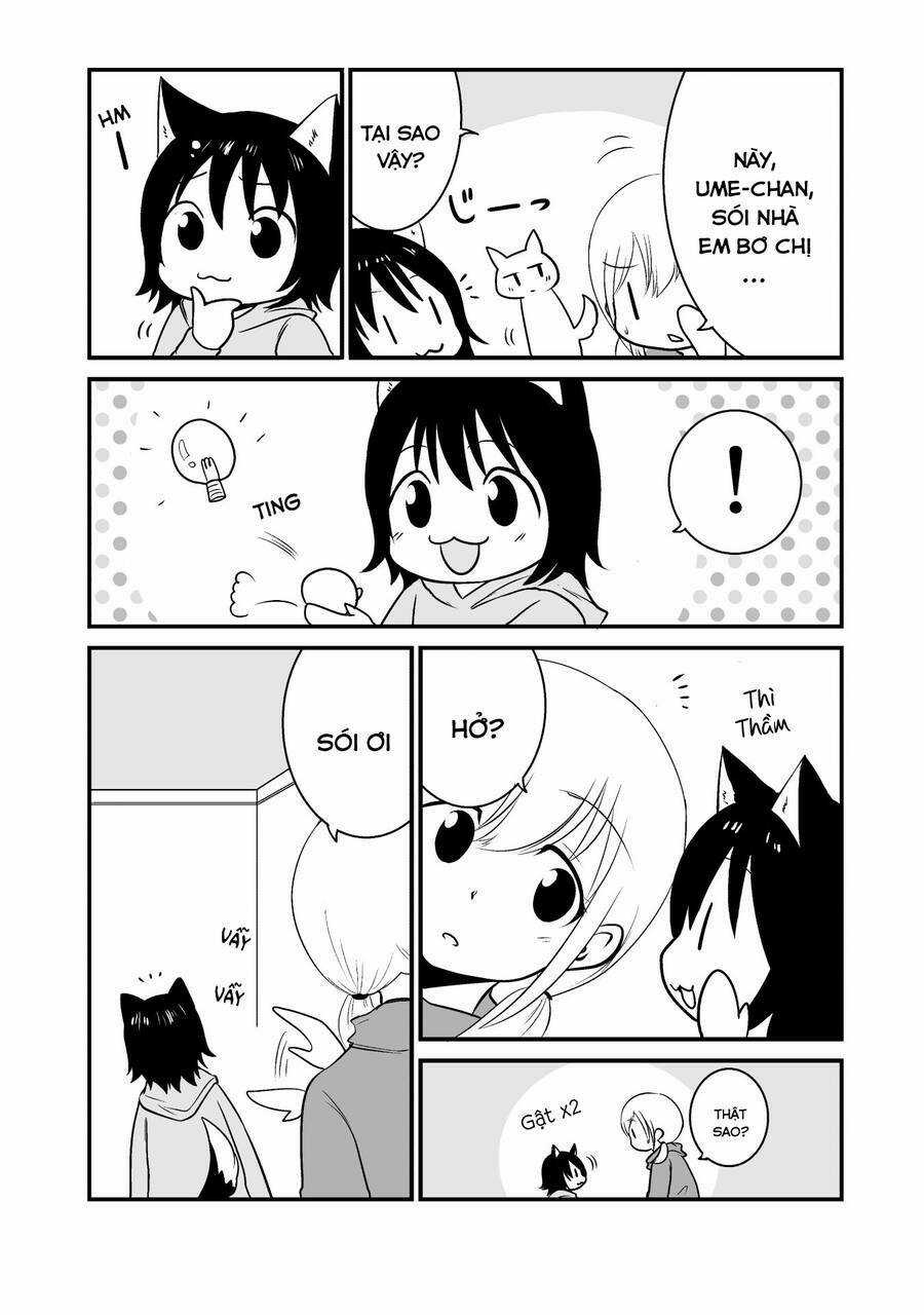 Cô bé quàng khăn đỏ thịt Sói - Chapter 7 - Trang 3