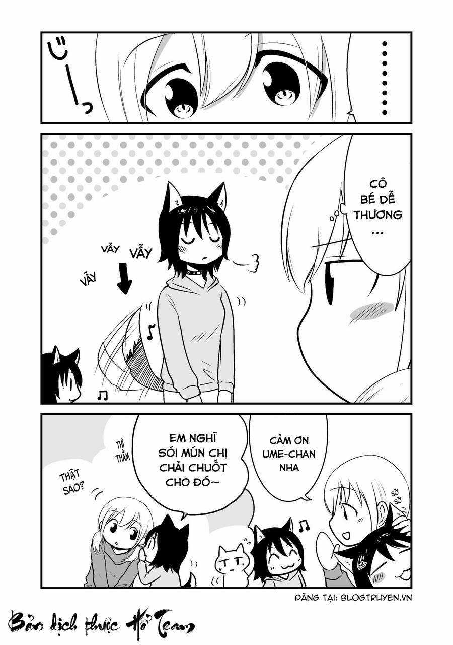 Cô bé quàng khăn đỏ thịt Sói - Chapter 7 - Trang 5