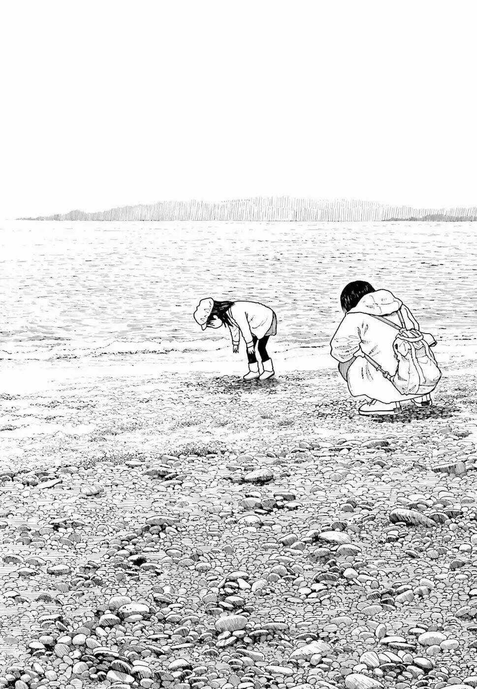 Cỏ Bốn Lá - Chapter 105 - Trang 14