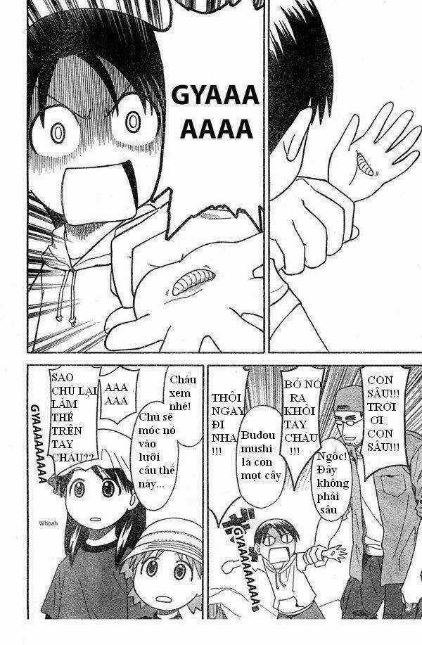 Cỏ Bốn Lá - Chapter 23 - Trang 14